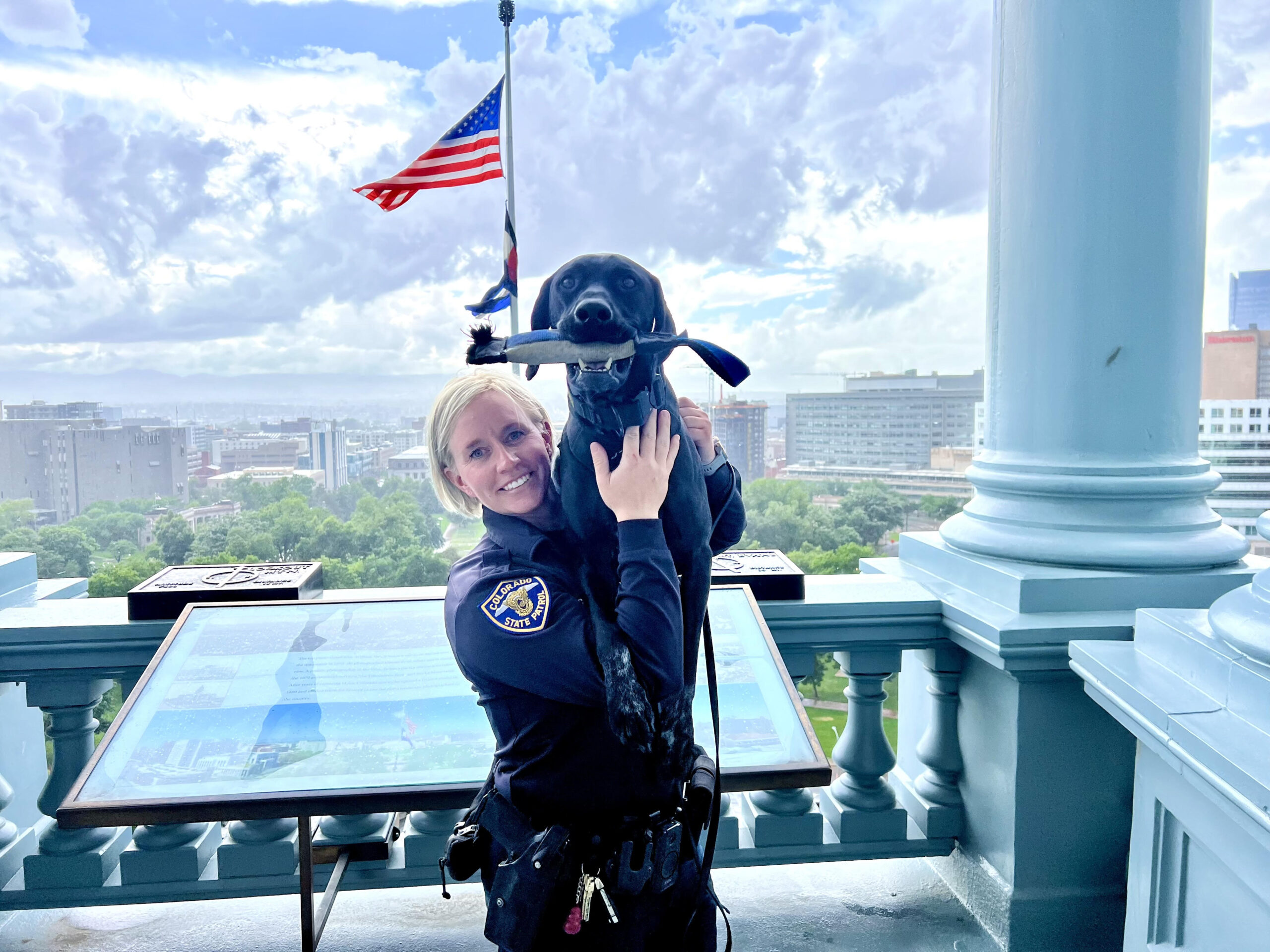 Scout's handler