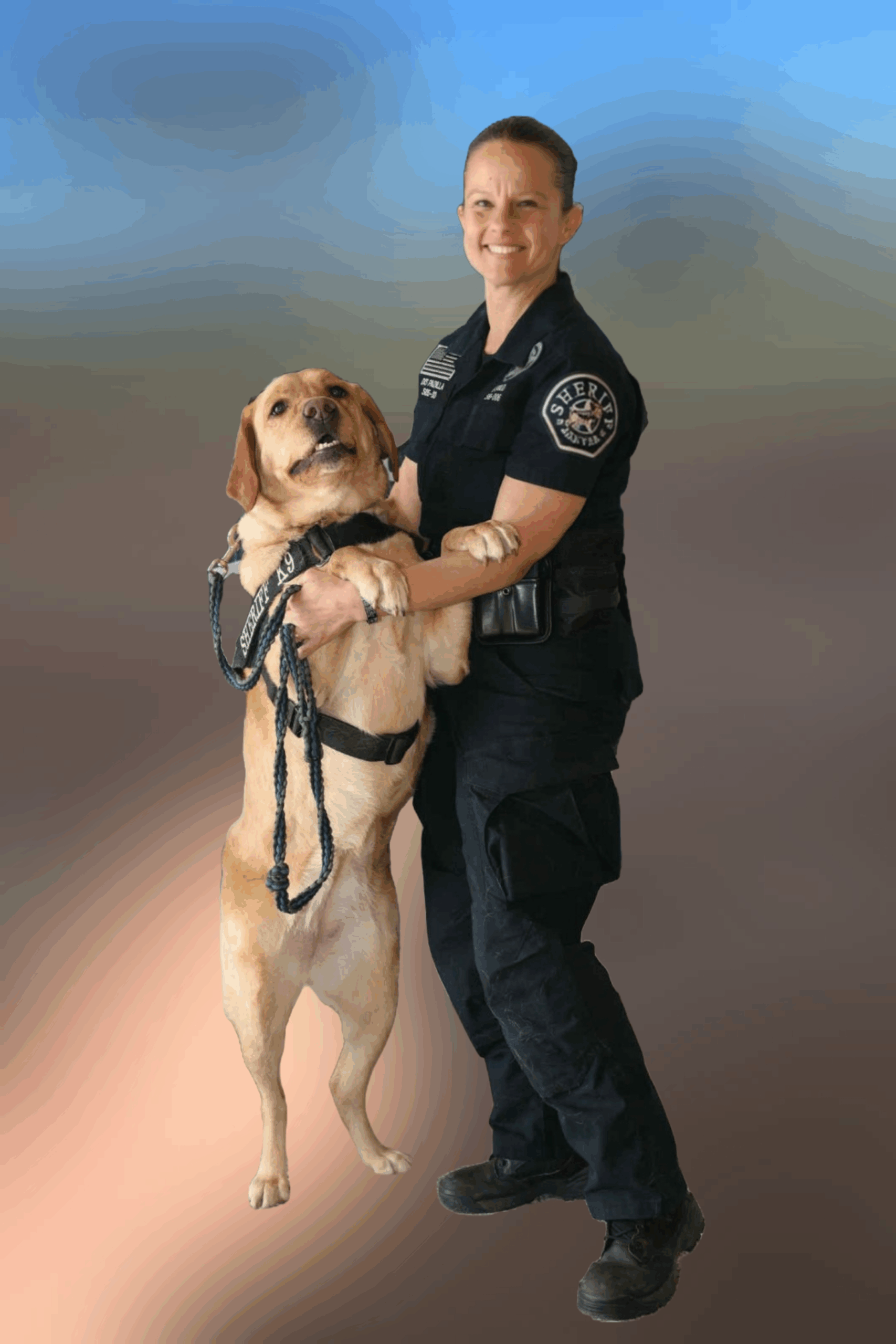 Handler holding a working dog in uniform.